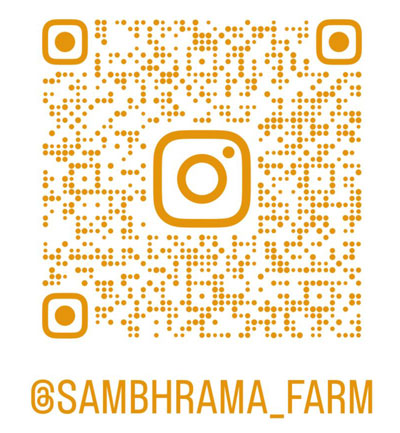 Insta Sambhramafarms